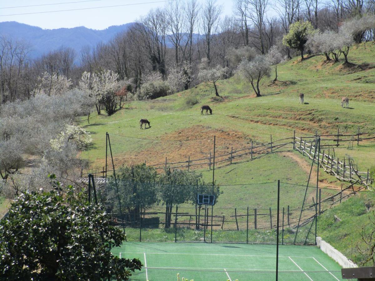 Podere La Piana Fivizzano Εξωτερικό φωτογραφία